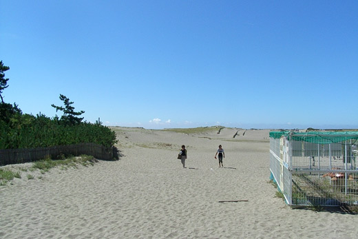 e0066210_202210.jpg