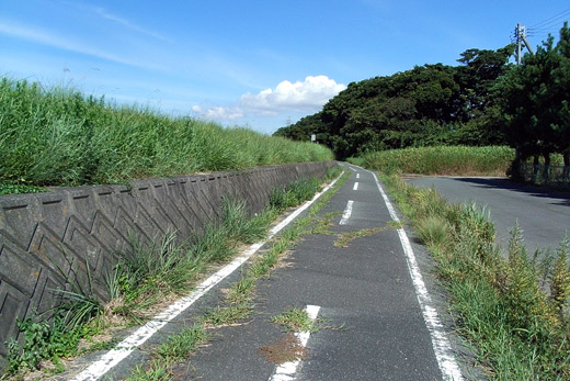 e0066210_2024236.jpg