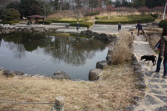 2.5大高緑地～公園内散歩_e0162524_1218340.jpg