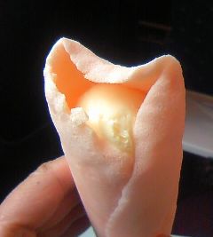 c0076330_9174914.jpg