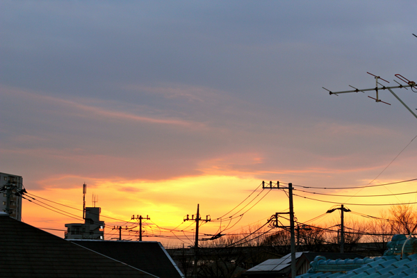 f0236736_1752384.jpg