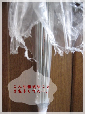 老怪獣リリゴン?_c0049950_1853696.jpg