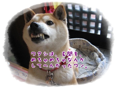 老怪獣リリゴン?_c0049950_1882711.jpg