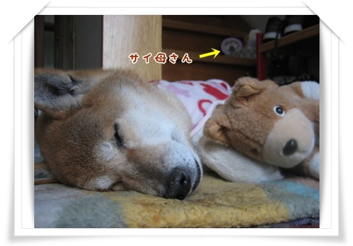 老怪獣リリゴン?_c0049950_21395947.jpg