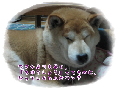 老怪獣リリゴン?_c0049950_21533619.jpg