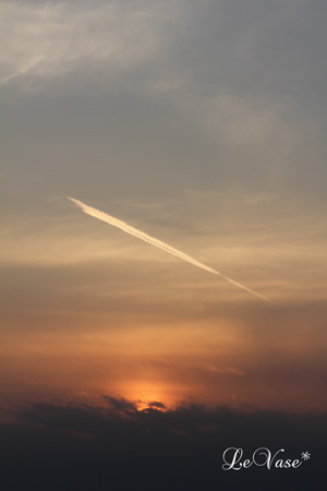 羽田空港_e0158653_21155721.jpg