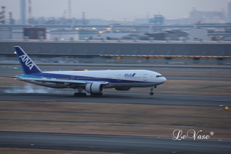 羽田空港_e0158653_21162529.jpg