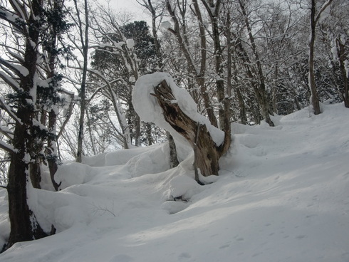 f0209354_2019089.jpg