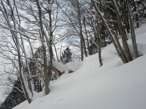 f0209354_20211866.jpg