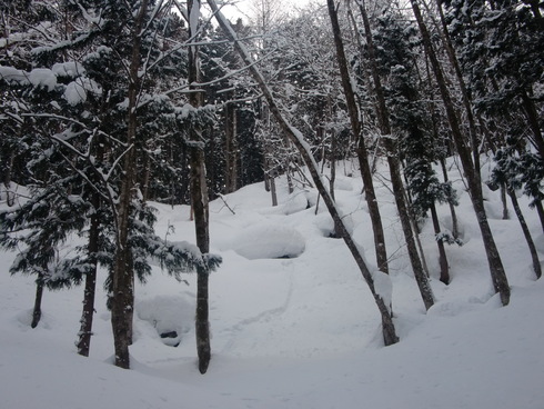 f0209354_20223596.jpg