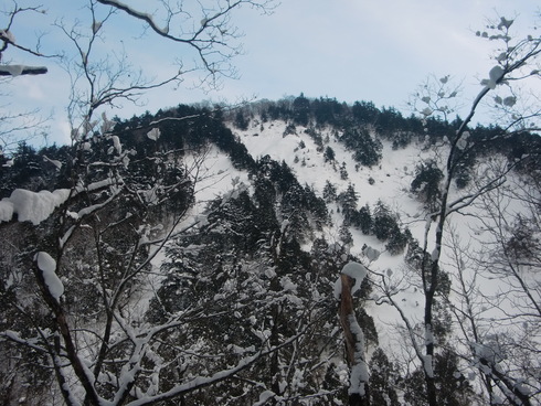 f0209354_20275730.jpg