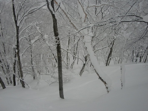 f0209354_20292533.jpg