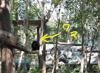 c0171358_17105890.jpg