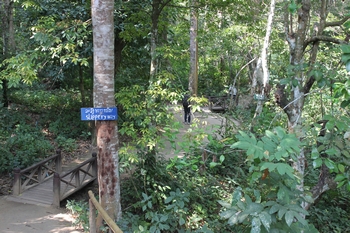 c0171358_173488.jpg