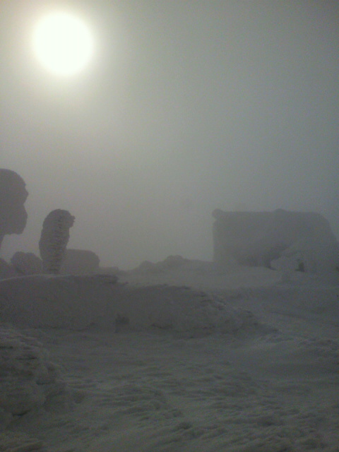 d0128163_21345369.jpg