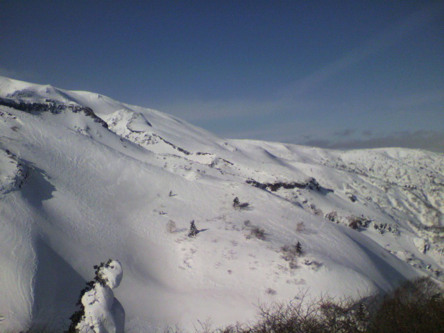 d0128163_2139413.jpg