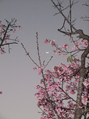 a0095470_22293954.jpg