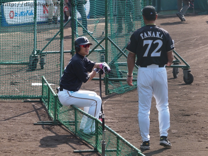 2/7 日本ハムファイターズ名護キャンプ見学3 野手編_e0222575_1516646.jpg