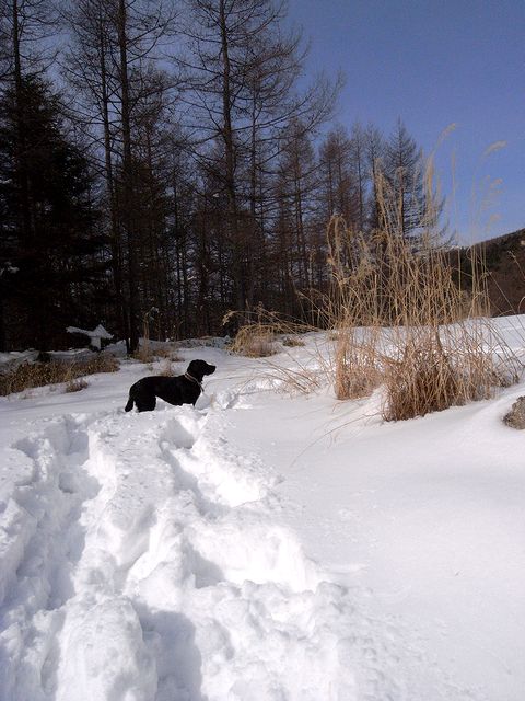 a0093592_05214.jpg