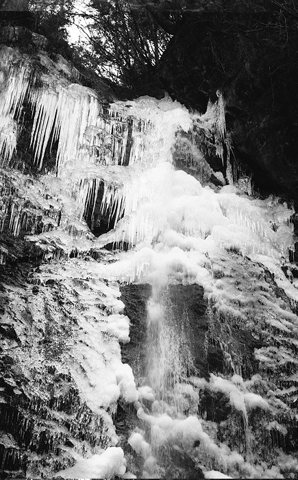 c0214494_2304777.jpg