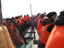 c0135795_7181499.jpg