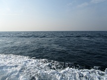 c0135795_7252265.jpg