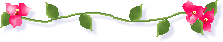 c0090198_336772.gif