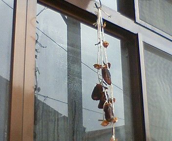c0007502_21341572.jpg