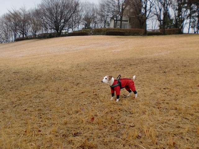 a0040708_23594221.jpg