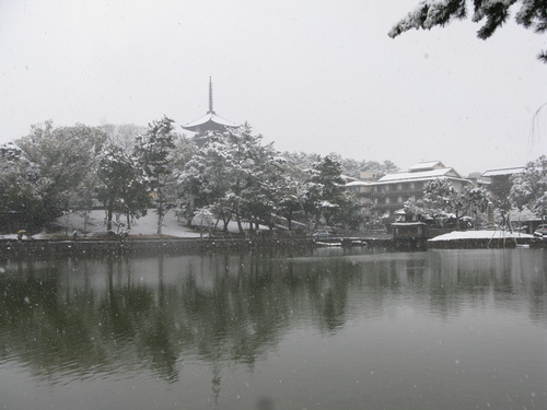 奈良のゆき_e0030917_1634058.jpg