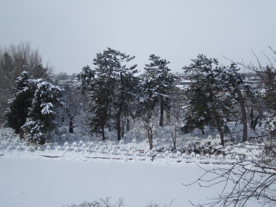 b0147224_0351052.jpg