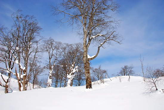 鍋倉高原、雪遊び_a0094730_22321976.jpg