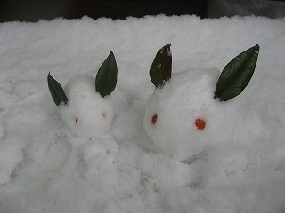 雪やこんこん。。_b0187737_12251890.jpg