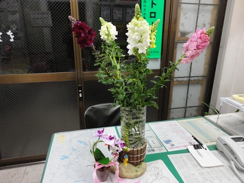 a0048040_18573489.jpg