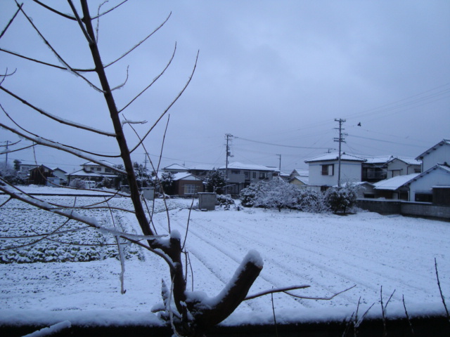 e0060041_168191.jpg