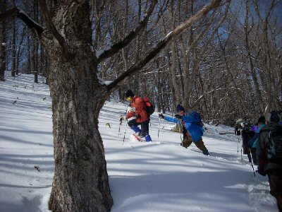 御泉水自然園スノーシュー_f0019247_0614100.jpg