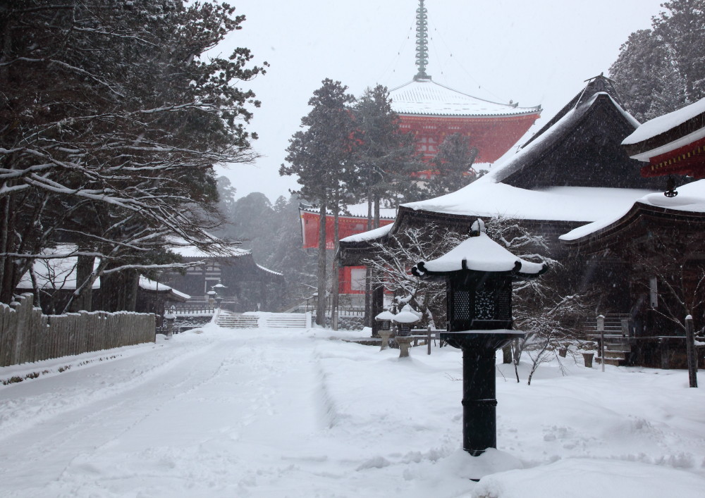 高野山　壇上伽藍_f0219347_2049074.jpg