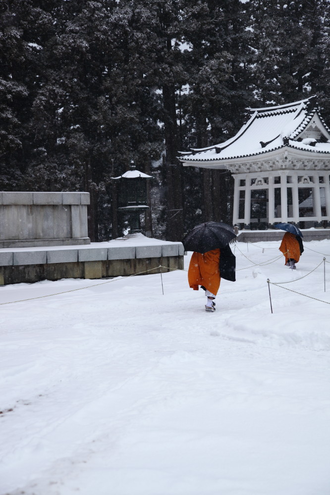 高野山　壇上伽藍_f0219347_20494842.jpg