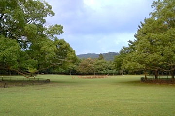 b0025850_22285670.jpg