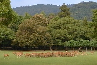 b0025850_22315075.jpg