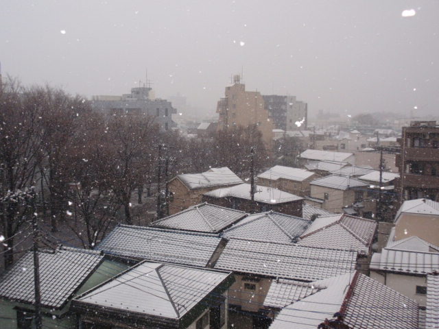 d0078350_15453461.jpg