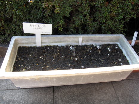 c0147952_2146253.jpg