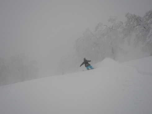 f0209354_20114127.jpg