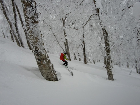 f0209354_20123661.jpg