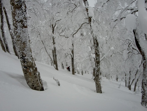 f0209354_2012861.jpg