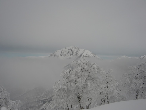 f0209354_2021712.jpg