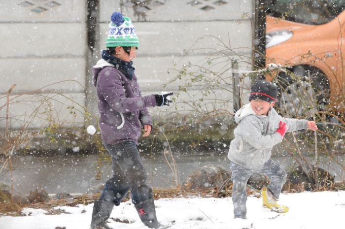 雪です。_b0177857_17164549.jpg