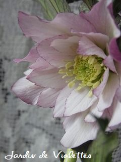 e0118257_162363.jpg