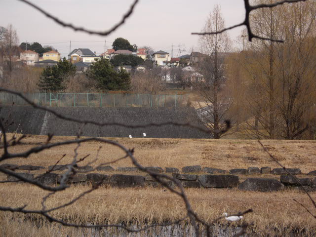 d0116059_21102551.jpg
