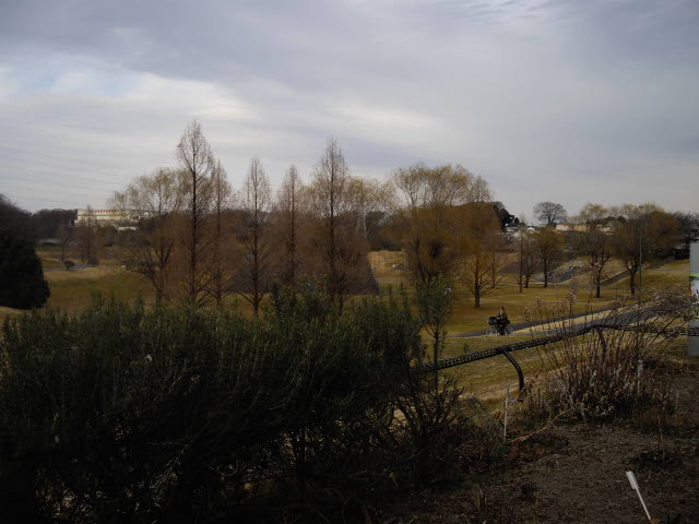 d0116059_2110750.jpg